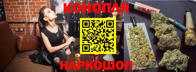стафф Берёзовский