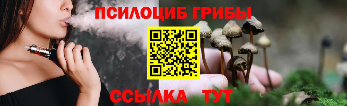 Псилоцибиновые грибы ЛСД  Вход с VPN  Ижевск  купить закладку  Галлюциногенные грибы MAGIC MUSHROOMS 