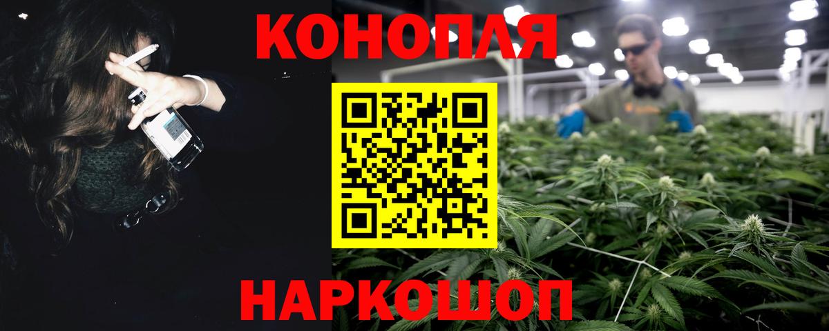 Бошки Шишки планчик Ижевск